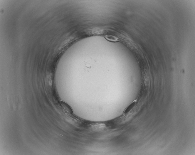 X0000072950374200608111632