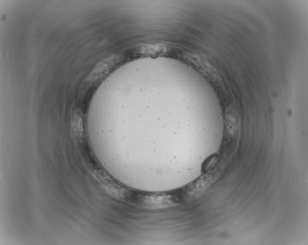 X0000072950375200608111632