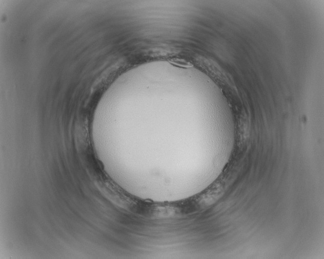 X0000072950376200608111632