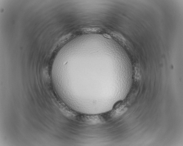 X0000072950377200608111632