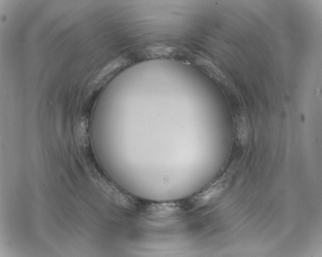 X0000072950378200608111632