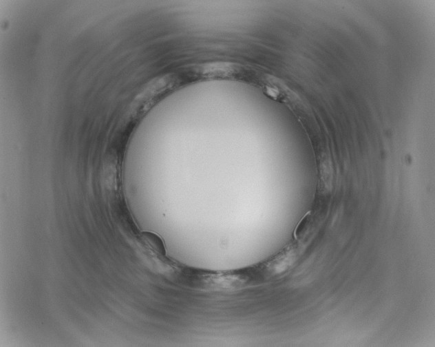 X0000072950379200608111632