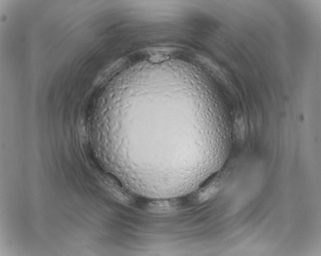 X0000072950381200608111632