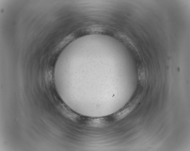 X0000072950382200608111632