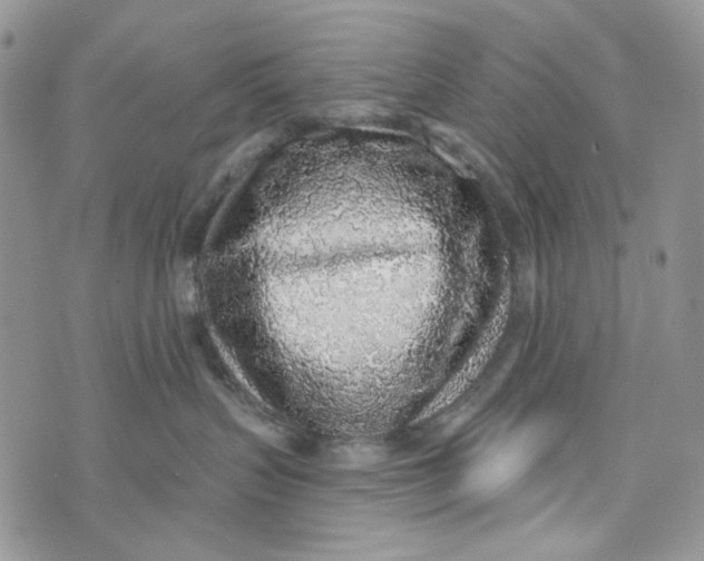 X0000072950383200608111632