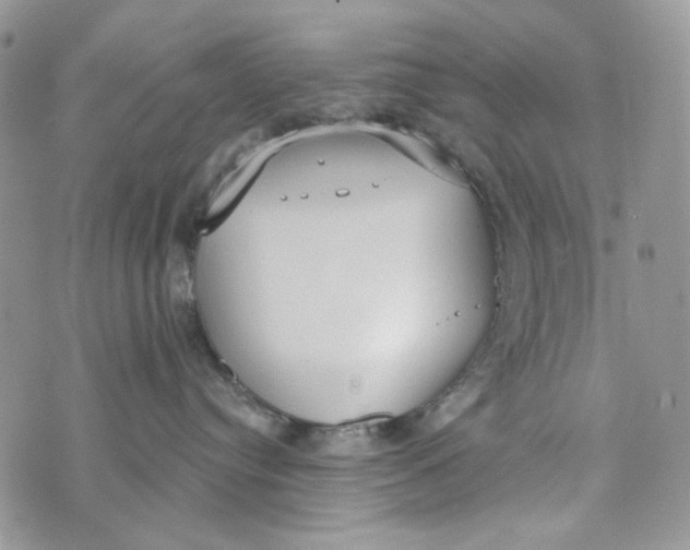 X0000072950384200608111632