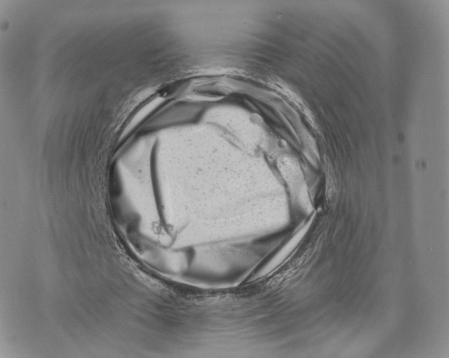 X0000072950385200608111631