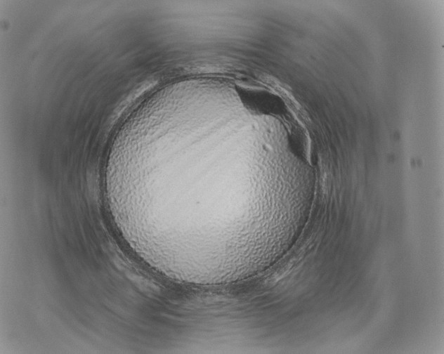 X0000072950386200608111631