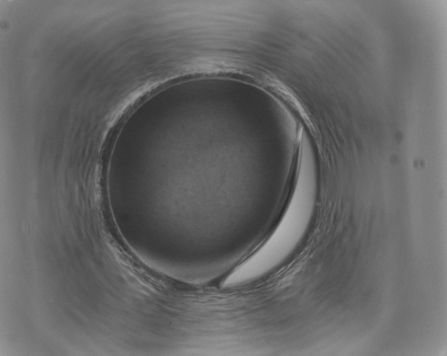 X0000072950387200608111631