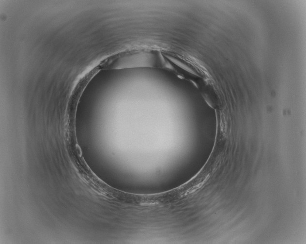 X0000072950388200608111631