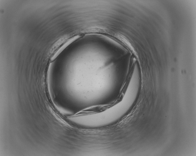 X0000072950389200608111631