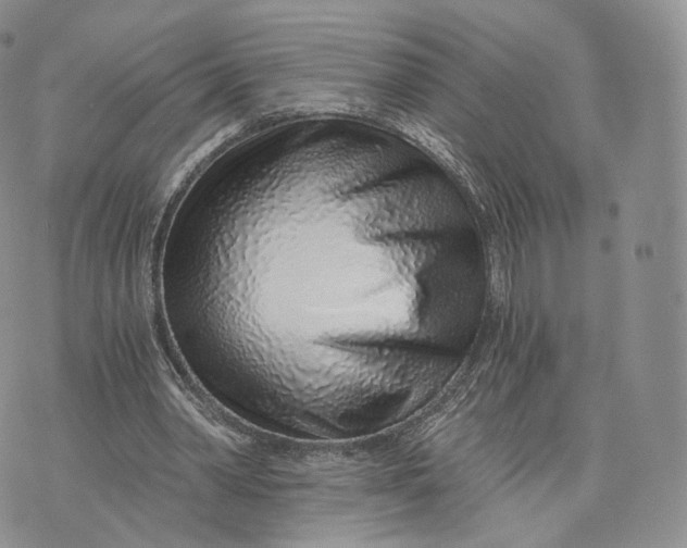 X0000072950390200608111631