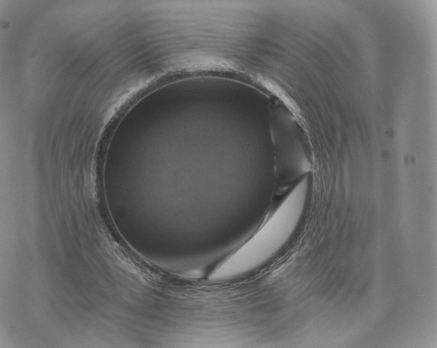 X0000072950391200608111631