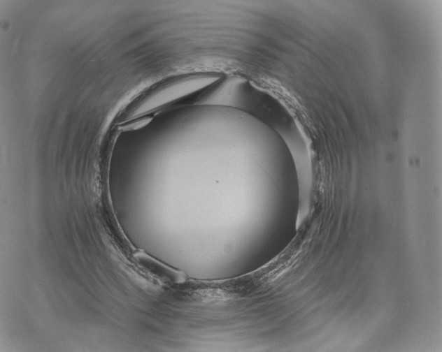 X0000072950392200608111631