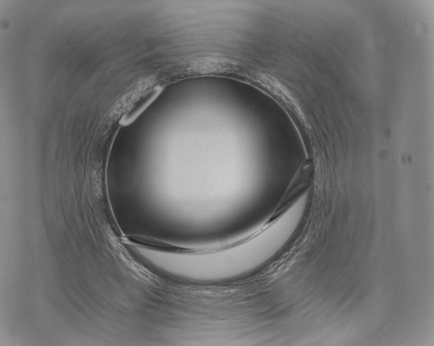 X0000072950393200608111631