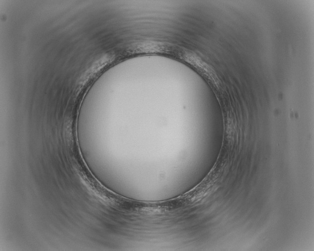 X0000072950394200608111631