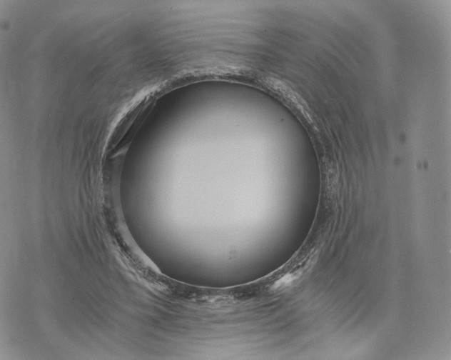 X0000072950395200608111631