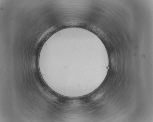 X0000072950396200608111631