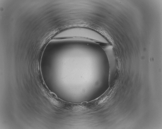 X0000072950397200608111631