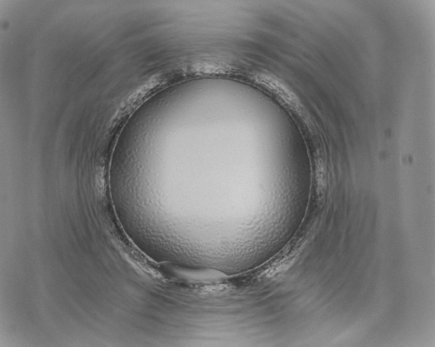 X0000072950401200608111631