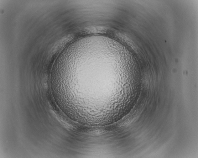 X0000072950402200608111631