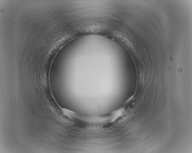 X0000072950403200608111631