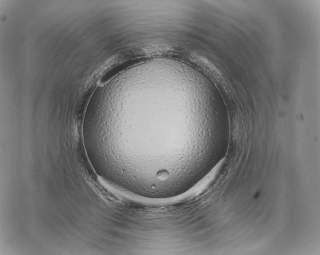 X0000072950405200608111631