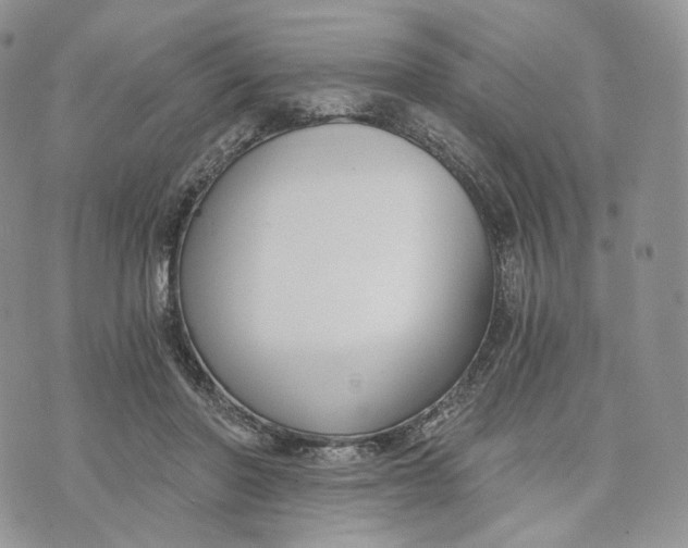 X0000072950406200608111631