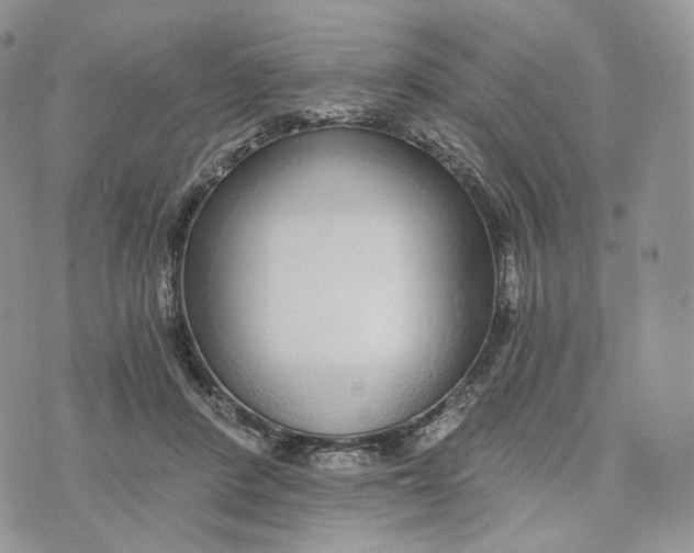 X0000072950408200608111631