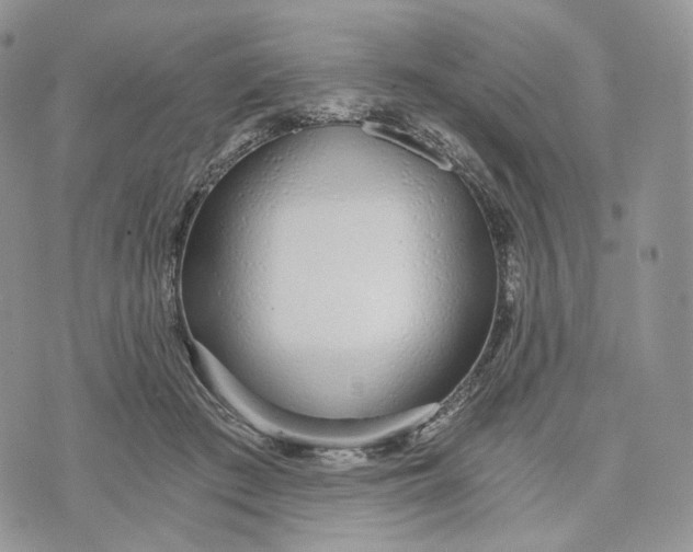 X0000072950409200608111631