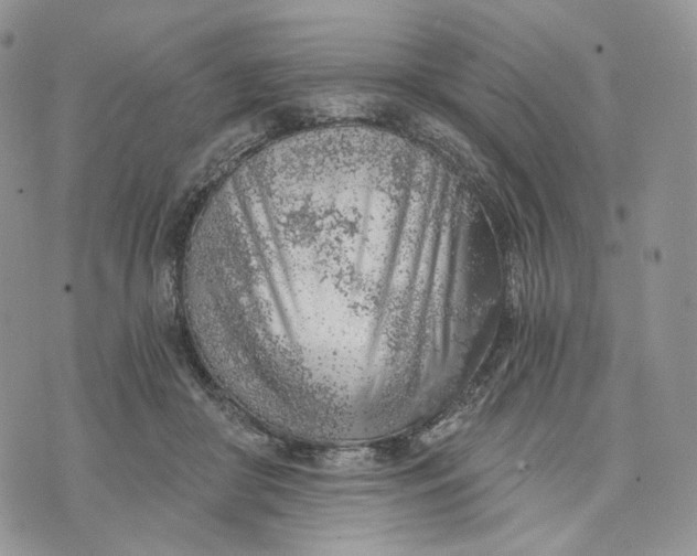 X0000072950410200608111631