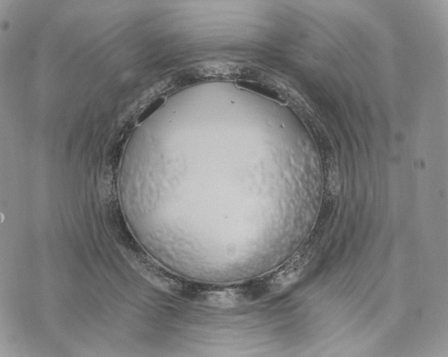 X0000072950411200608111631