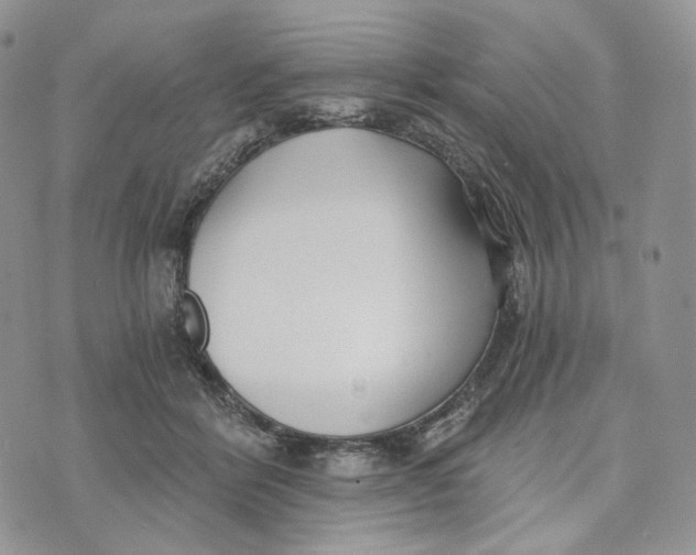 X0000072950412200608111631