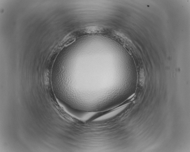 X0000072950413200608111631