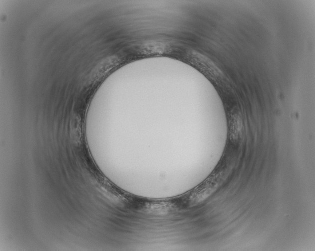 X0000072950414200608111630