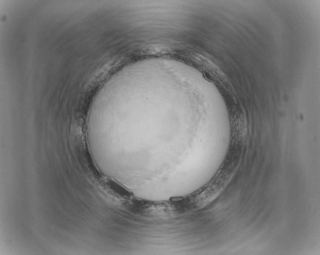 X0000072950415200608111630