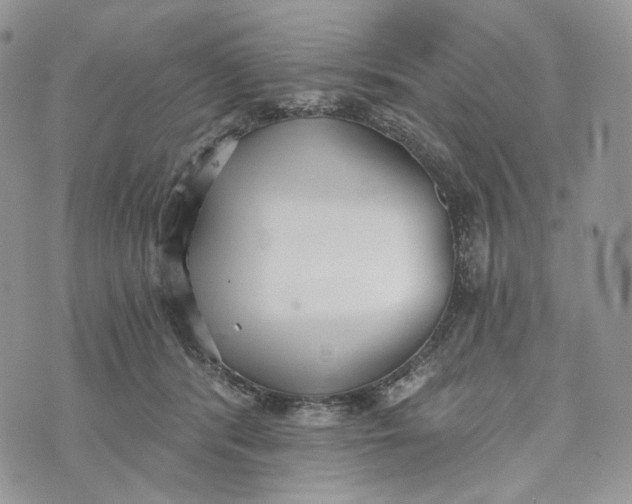 X0000072950416200608111630