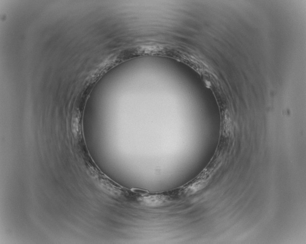 X0000072950417200608111630