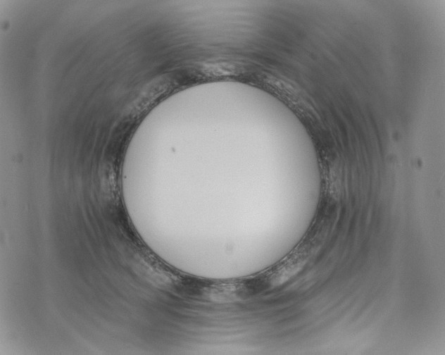 X0000072950418200608111630