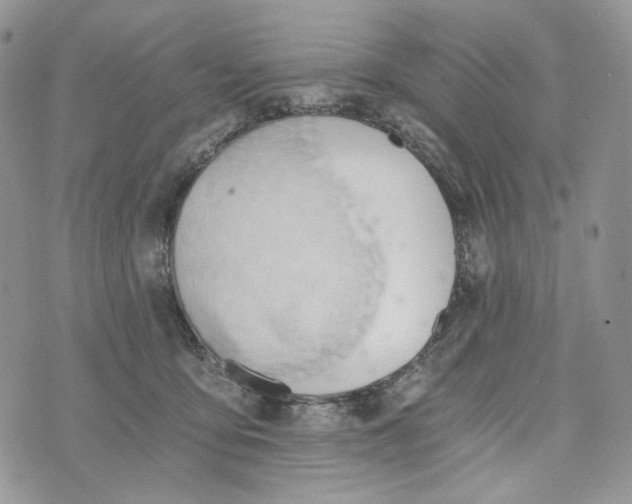 X0000072950419200608111630