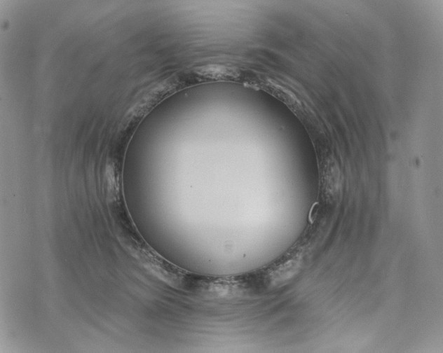 X0000072950420200608111630