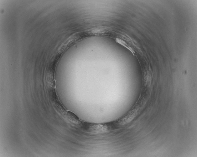 X0000072950421200608111630