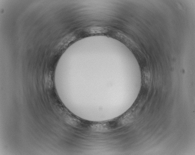 X0000072950422200608111630