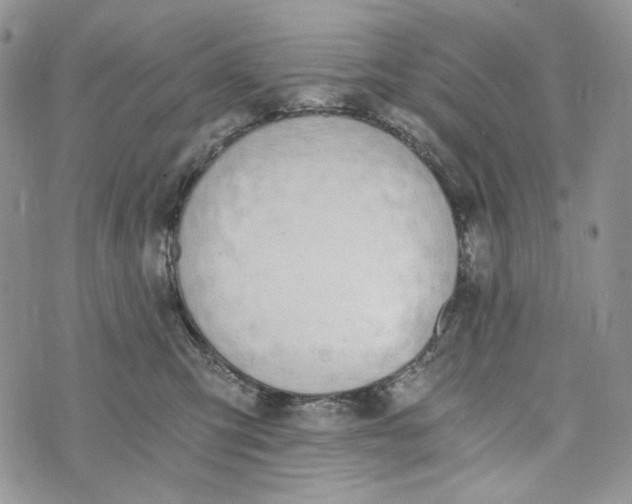 X0000072950423200608111630