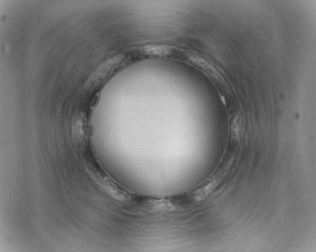 X0000072950424200608111630