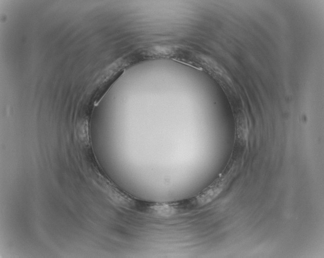 X0000072950425200608111630