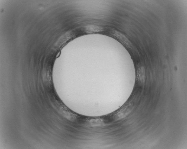 X0000072950426200608111630