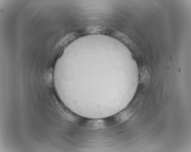 X0000072950427200608111630