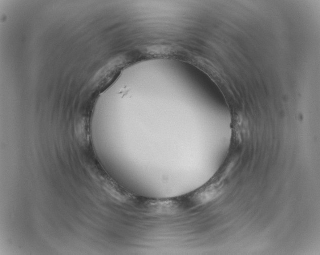 X0000072950428200608111630