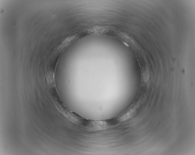 X0000072950429200608111630